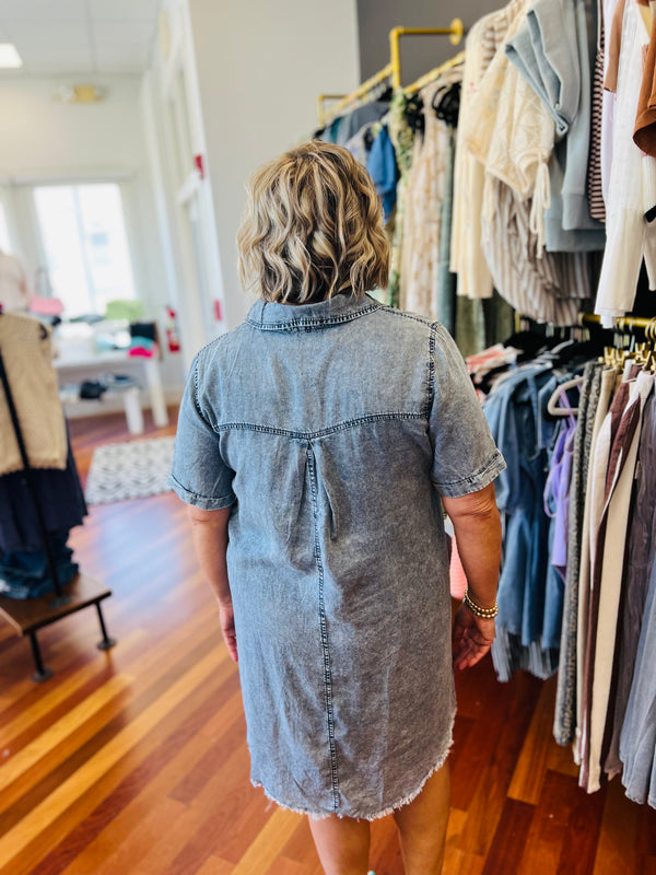 Denim & Go Dress